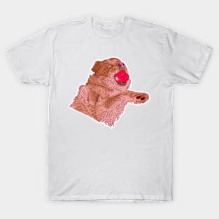 DOGGO T-Shirt